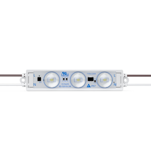 100X LED Module, 3 Watt ,160°,3000K Wasserfest IP65 ,220V